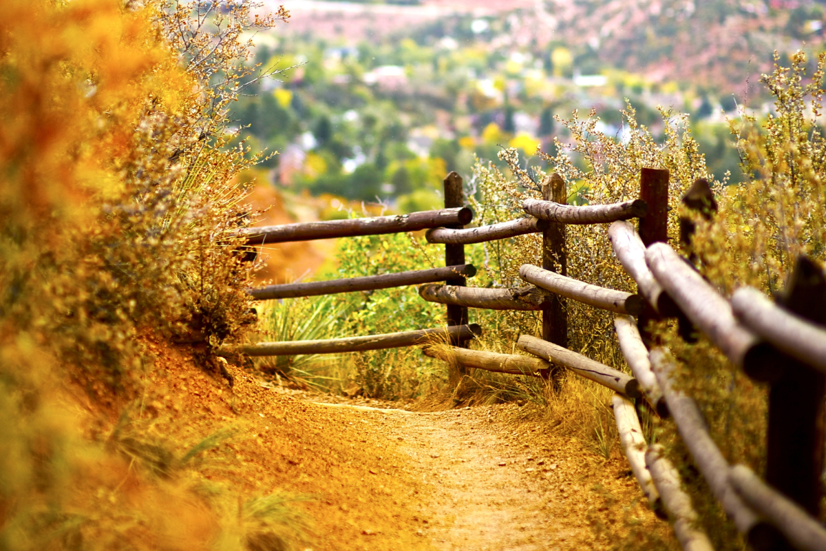 a trail along a wooden fence