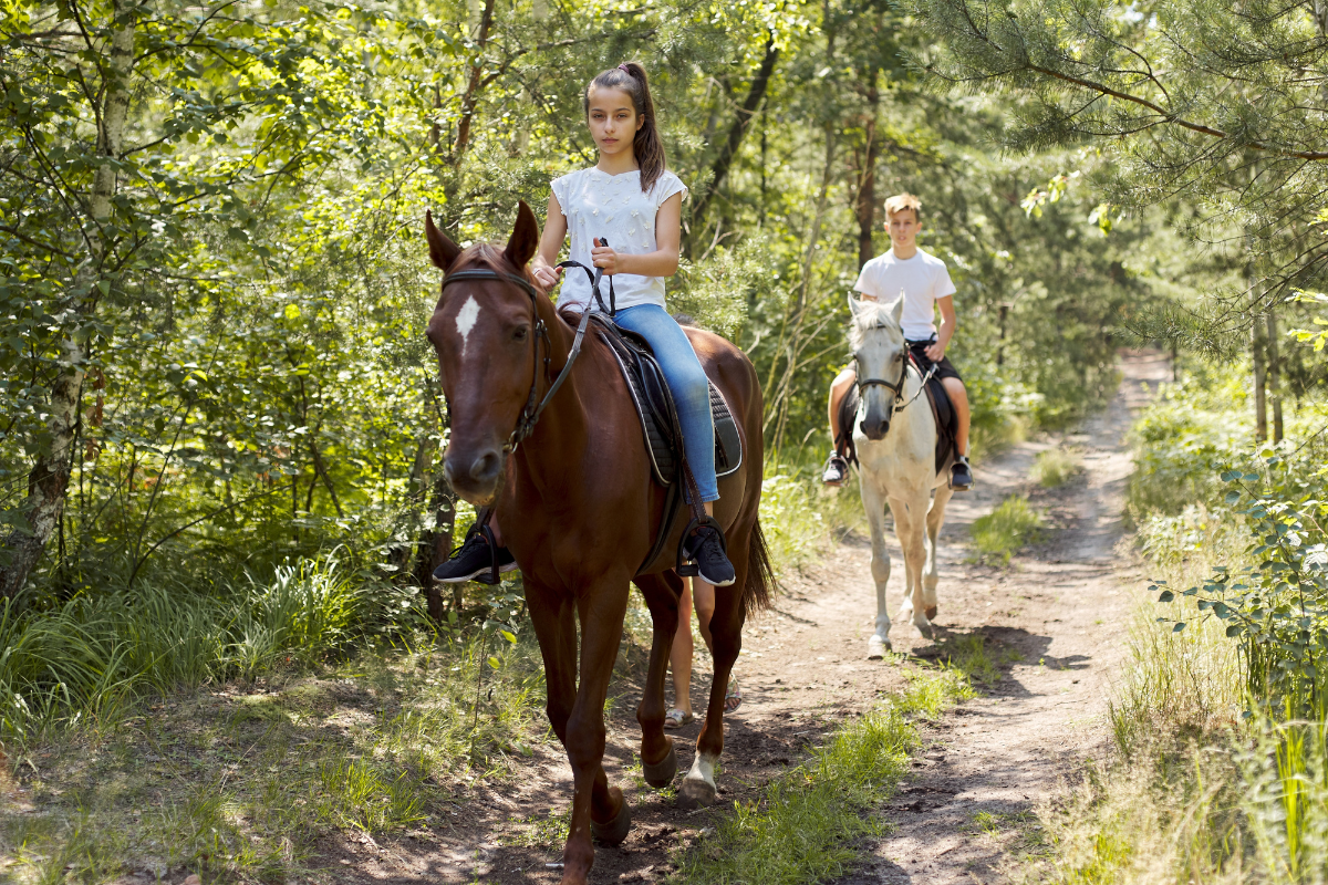 a man riding a horse in a forest