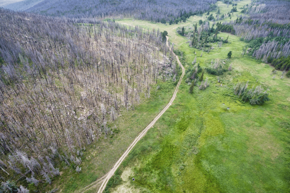 a dirt road for jeeping in Colorado's Rocky Mountains